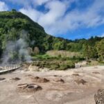 Furnas - Full Day Tour - Exploring Furnas: Hot Springs, Thermal Baths, and Volcanic Landscapes