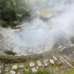 Furnas: Tea Plantation and Hot springs Tour - Starting Point and Tour Duration