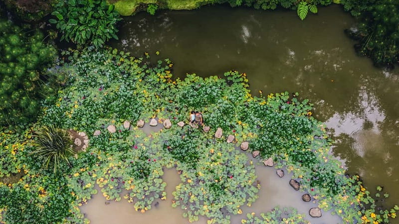 Furnas & Terra Nostra Gardens Biologist-guided Tour +lunch - Discovering Furnas Lake and the Village’s Volcanic Features