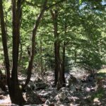 Fygou and Agia Irini Gorge Loop Half Day Hiking Tour - Discovering the Fygou Gorge’s Natural Beauty