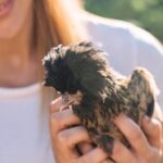 Gallura: Picnic on a Farm with Animals - Visiting a Sanctuary of Love and Hope in Gallura