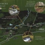 Game of Thrones - Tollymore Forest Trek - Visiting the Wildling Dismembered Bodies Scene