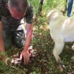 Gaon - Istria: Truffle Hunting Tour in Slovenia - Discovering the Secrets of Truffle Hunting with a Local Expert and Dog