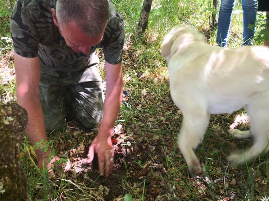 Gaon - Istria: Truffle Hunting Tour in Slovenia - Discovering the Secrets of Truffle Hunting with a Local Expert and Dog