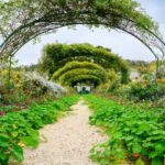 Gardens of Monet & Giverny and Vernon Old Mill - Private - Exploring Monet’s Home and Gardens in Giverny