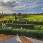 Gastronomic Wine tasting in Mértola, Alentejo - The Unique Setting of a 19th-Century Estate in Mértola