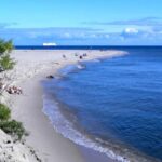 Gdansk Hel Peninsula Private Guided Tour with Cruise or Car - Starting Point: Easy Access from Main Hotels