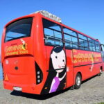 Geneva: Hop-on Hop-Off Bus & Scenic Mini-Train Tour - Starting Point at Place Dorcière for the International District