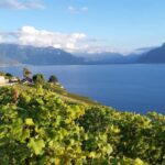 Geneva: Lavaux, Chexbres, and Valais Wine Tasting Tour - From the UNESCO World Heritage Lavaux Vineyards to the Alpine Valleys