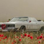 Geneva: Montreux, Lausanne, & Gruyères Private Day Trip - Scenic Drive Along Lake Geneva’s Picturesque Shores