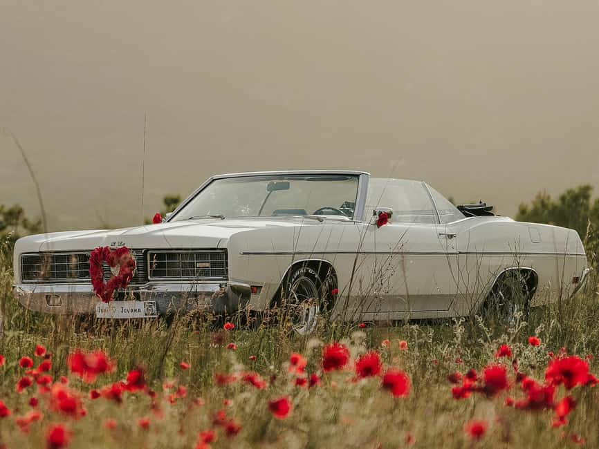 Geneva: Montreux, Lausanne, & Gruyères Private Day Trip - Scenic Drive Along Lake Geneva’s Picturesque Shores