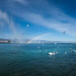 Geneva: Whispers of the Old Town Walking Tour with Apéritif - Discovering Saint Peters Cathedral and its Crypt