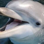 Genoa: Aquarium of Genoa & City of Children and Youth Ticket - The City of Children and Youth: Sensory Learning in Action