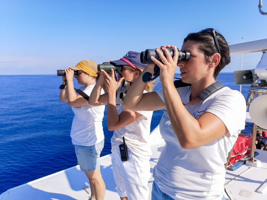 Genoa: Cetacean Watching Cruise with Marine Biologist Guide - Starting Point Near Genoa’s Aquarium Pier