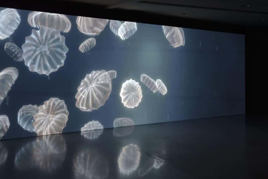 Genoa Palazzo Ducale: Entrance ticket for the Moby Dick - The Whale exhibition. - Location and Entrance Procedure at Palazzo Ducale