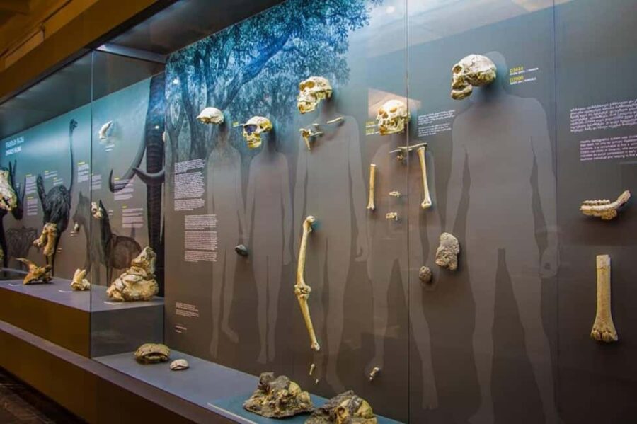 Georgian National Museum Entry Ticket - Exploring Georgia’s Ancient Past in Archaeology and Human Evolution Exhibits