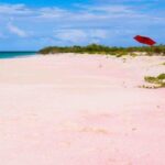 Georgioupolis Area: Full-Day Bus Trip to Elafonisi Island - Departing from Georgioupolis: Convenient Pickup Points