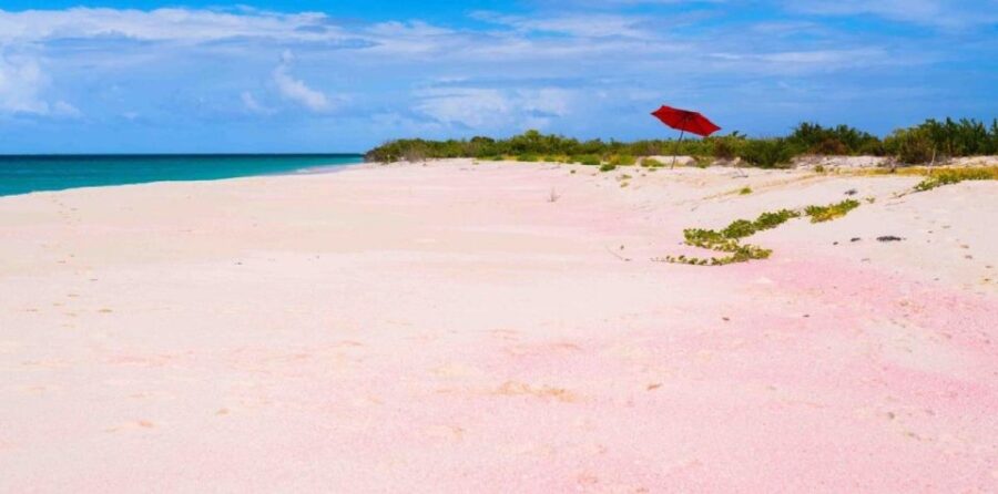 Georgioupolis Area: Full-Day Bus Trip to Elafonisi Island - Departing from Georgioupolis: Convenient Pickup Points