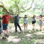 Georgioupolis Safari Discover The Cretan Culture - Visiting an Olive Oil Factory and Tasting Crete’s Finest Oils