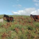 Gerês: Serra da Cabreira 4x4 Tour with Waterfalls & Villages - Discovering the Minho Mountains in a 4x4 Vehicle