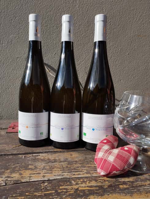 Gertwiller: Food and wine pairing workshop to prepare your Christmas meal! - The Gertwiller Venue and Meeting Point