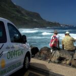 Get to know the Teide National Park and the north of Tenerife on a private tour - Exploring the North of Tenerife and Its Highlights