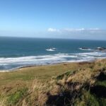 Giants Causeway & Antrim Coast Private Tour - Discover the Dark Hedges: An Enchanting Tree Tunnel