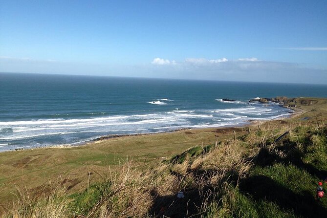 Giants Causeway & Antrim Coast Private Tour - Discover the Dark Hedges: An Enchanting Tree Tunnel