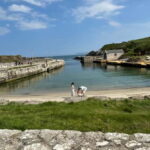 Giant's Causeway & Belfast city Private tour - Walking the Carrick a Rede Rope Bridge