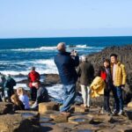 Giant's Causeway Day Tour from Dublin - Visiting the Dark Hedges: A Fairy Tale Tree Tunnel