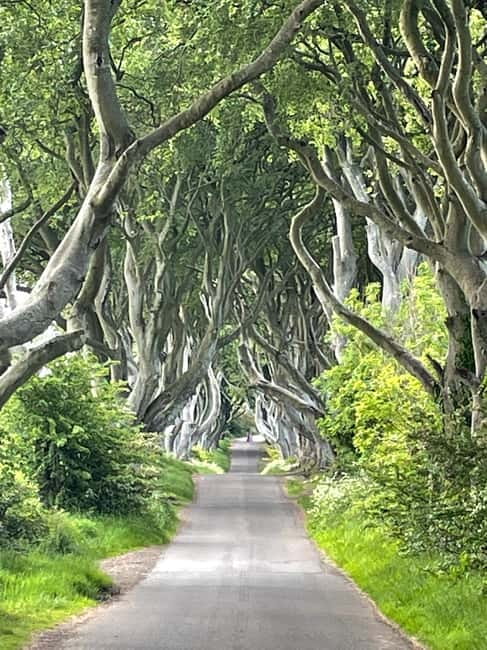 Giants Causeway Tour Cruise Ship Excursion - Starting Point: Pickup in Belfast City Centre