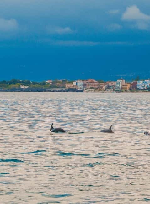 Giardini Naxos Taormina: Dolphin Watching Sunset Tour - Starting Point at Giardini Naxos with Easy Parking Options