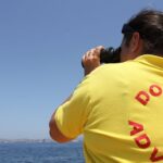 Gibraltar Dolphin Adventure - Embarking on the Dolphin Watch from Gibraltar’s Marina