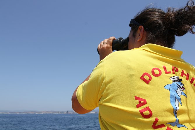Gibraltar Dolphin Adventure - Embarking on the Dolphin Watch from Gibraltar’s Marina