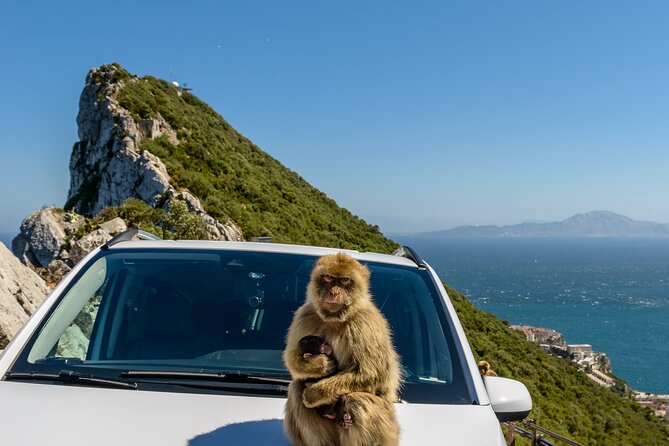 Gibraltar Full Day Tour Ultimate Tour 7hrs - Discovering The Rock of Gibraltar and Its Natural Wonders