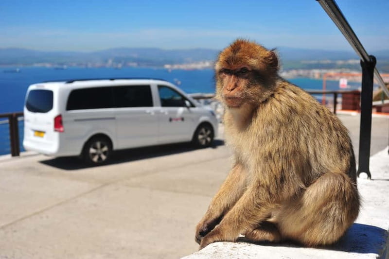 Gibraltar: Private Highlights Tour with Entry Tickets - Starting Point and Tour Duration