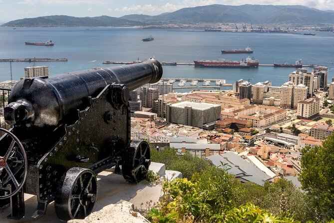 Gibraltar Private Tour from Malaga and Surronding Areas - Climbing the Rock with a Local Guide