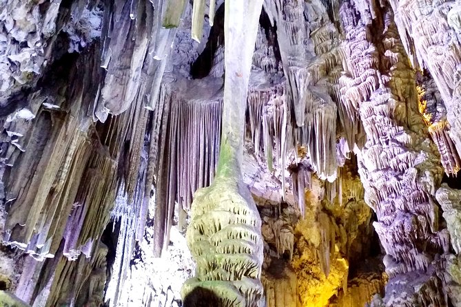 Gibraltar private tour from Marbella or Malaga - Encountering the Wild Monkeys at the Apes Den