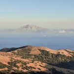 Gibraltar private trip from Marbella or Malaga - Encountering the Barbary Macaques at the Apes Den