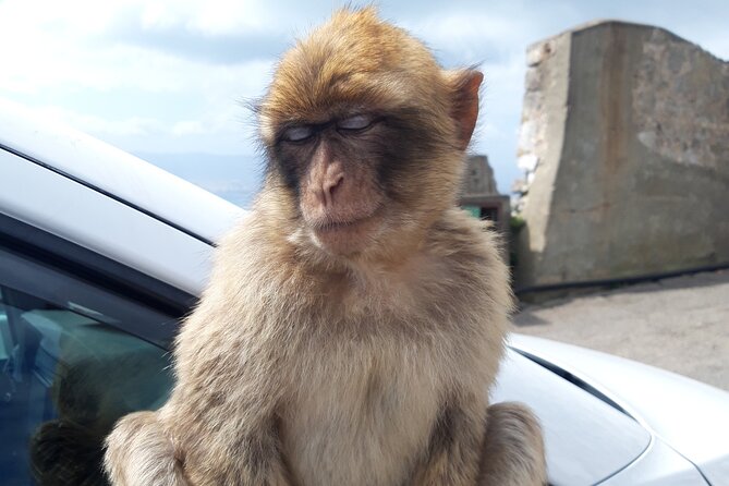 Gibraltar Sightseeing : Classic Shore Excursion (Private) - Explore the Wonders of St. Michael’s Cave