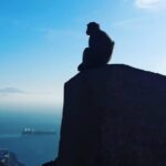 Gibraltar Sightseeing : Extended Rock Tour / Shore Excursion (Private) - Visiting St. Michaels Cave and Its Natural Wonders