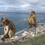 Gibraltar Sightseeing Private Full Day Shore Excursion - Visiting the Pillars of Hercules and Straits Views