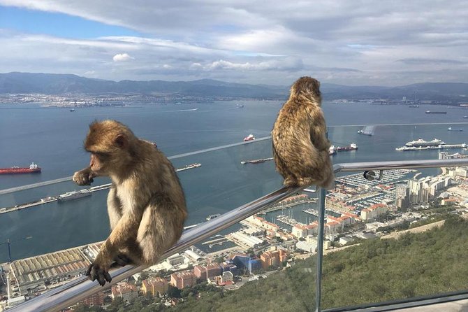 Gibraltar Sightseeing Private Full Day Shore Excursion - Visiting the Pillars of Hercules and Straits Views
