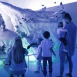 Giengen: Steiff Museum, immerse yourself in the fascinating world of Steiff - The Price and Duration of the Steiff Museum Tour