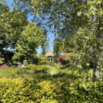 Giethoorn & Windmill Country  A Journey Through Old Holland - Crossing the Iconic Markerwaarddijk with Lake Views