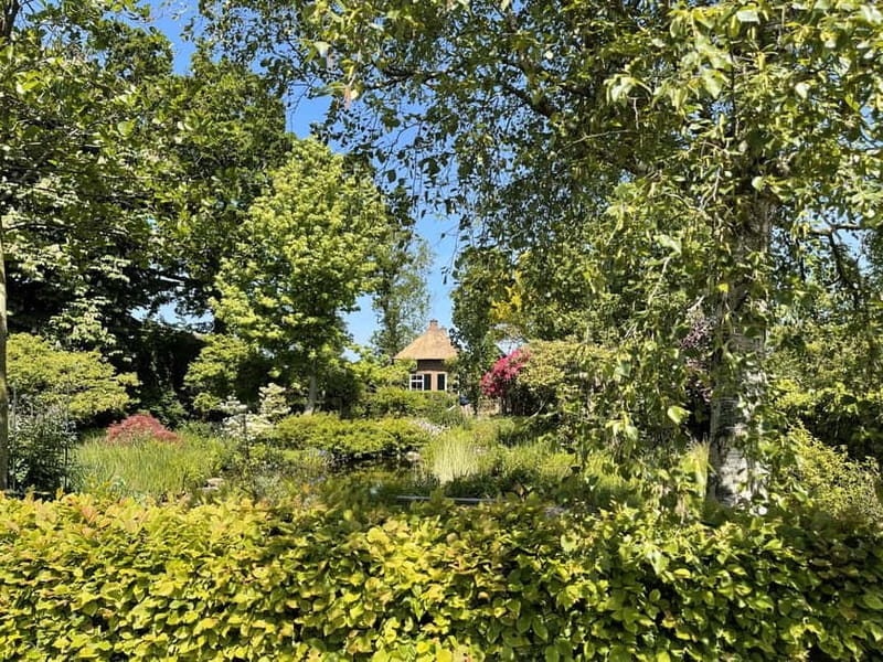 Giethoorn & Windmill Country A Journey Through Old Holland - Crossing the Iconic Markerwaarddijk with Lake Views