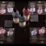 Gin Tasting Experience with a Perfect Serve - The Coastal Inspiration Behind the Gins