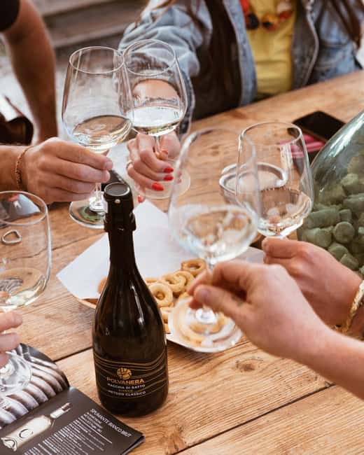 Gioia del Colle: Light Lunch and Wine Tasting in the Cellar - Sampling Five Distinctive Local Wines