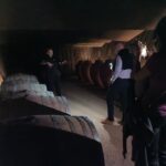 Girona: Local Wineries Tour with Breakfast and Wine Tasting - Exploring the Empordà Landscape Outside Girona