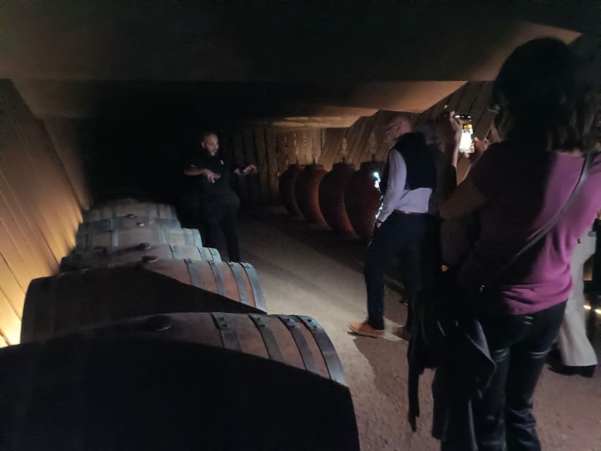 Girona: Local Wineries Tour with Breakfast and Wine Tasting - Exploring the Empordà Landscape Outside Girona